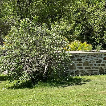 Domaine De Brise Bois - &