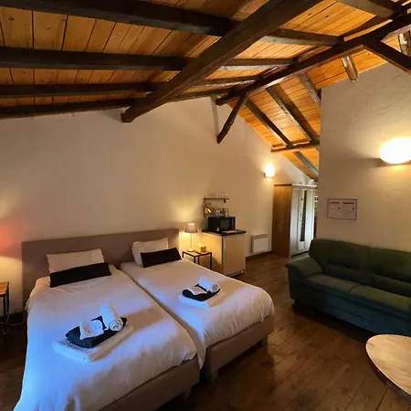 Hotel Domaine De Brise Bois - & 3*
